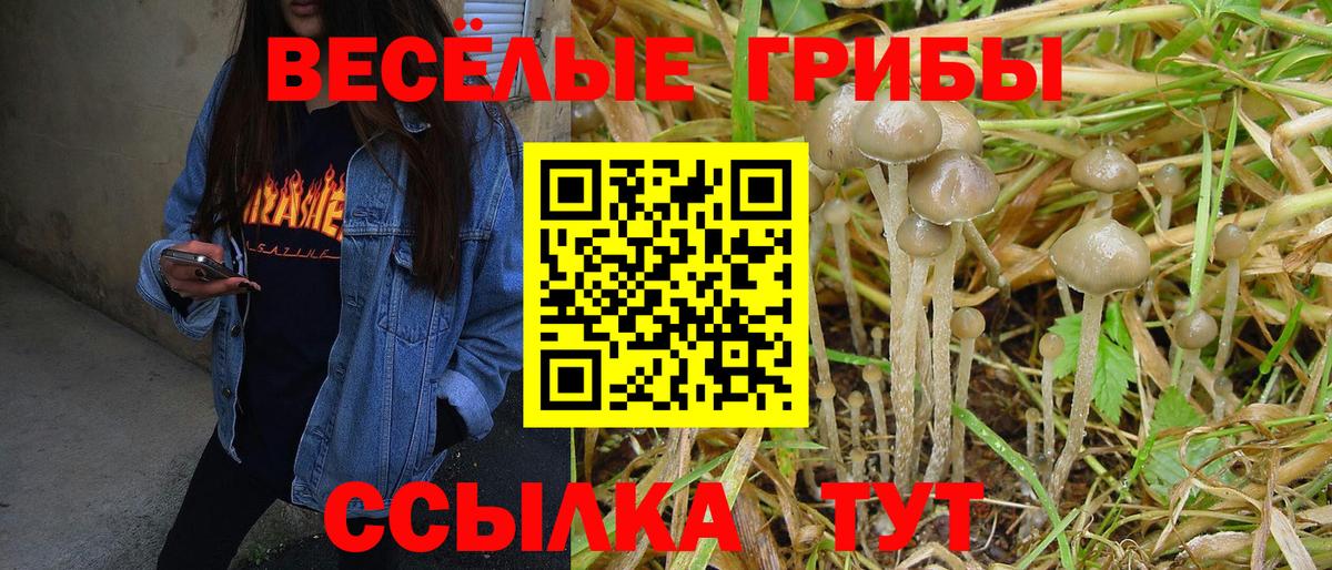 Рязань  Псилоцибиновые грибы Psilocybe  Вход с VPN 