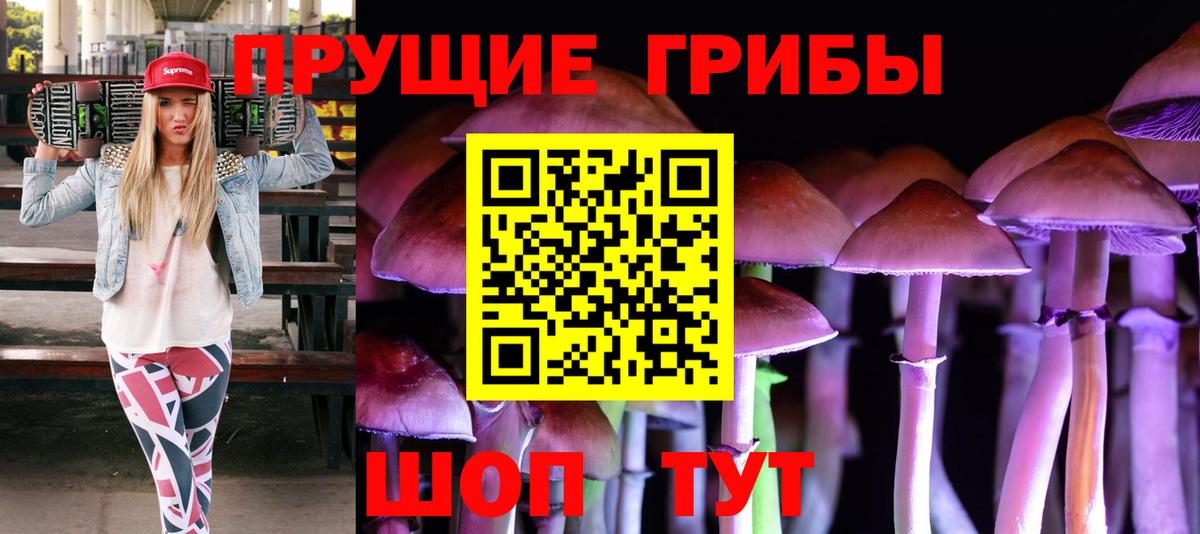 Псилоцибиновые грибы мицелий Рязань